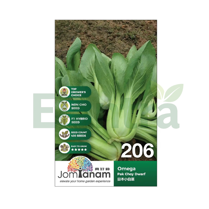 206 PAK CHOY DWARF